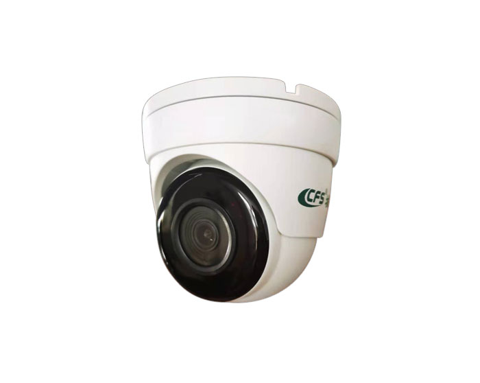 CFS-ZNSP1000（LG) 離崗偵測攝像頭